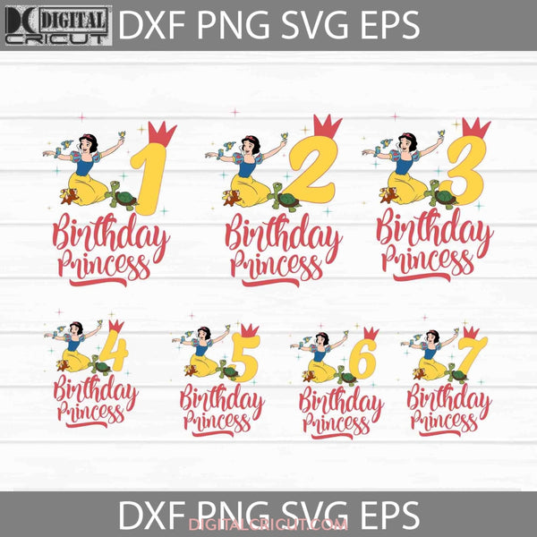 Bundle Birthday Princess Svg Snow White Girl Svg Cricut File Clipart Png Eps Dxf