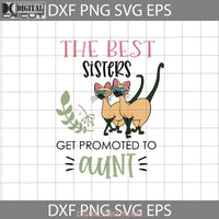 Great Sisters Get Promoted To Aunt Svg Lady And Tramp Mothers Day Cricut File Clipart Png Eps Dxf